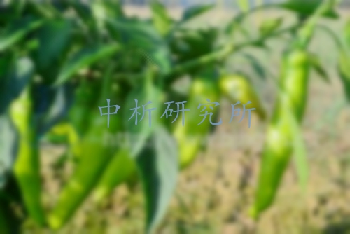 矮壯素檢測