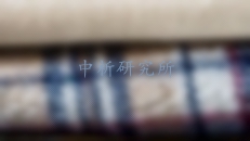 耐水色牢度