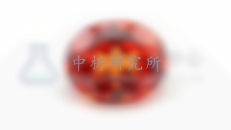 寶石鑒定