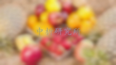 葉酸檢測(cè)