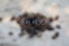 糞便檢測