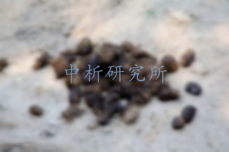 糞便檢測