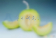 甜瓜檢測