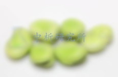 蠶豆檢測