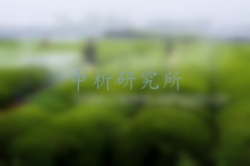 六六六檢測