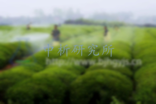 六六六檢測