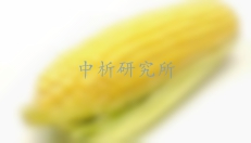 脫氧雪腐鐮刀菌烯醇檢測