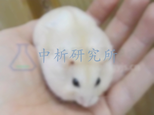 顯性致死試驗