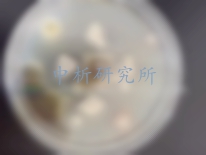微生物菌劑檢測
