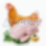 土雞檢測