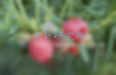 紫杉醇檢測(cè)