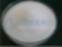 阿斯巴甜檢測(cè)