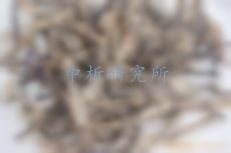 地龍檢測
