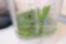 破壁機檢測
