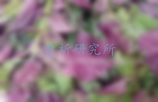 紫蘇葉檢測
