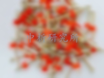 射釘檢測(cè)