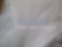 蚊帳檢測報告