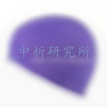 泳帽檢測