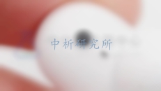 耳塞檢測