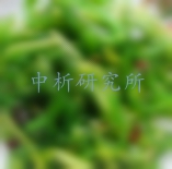 裙帶菜檢測