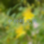 茉莉酸檢測