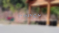 負(fù)離子檢測