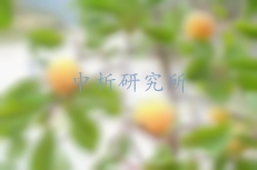 植物中游離氨基酸的測(cè)定