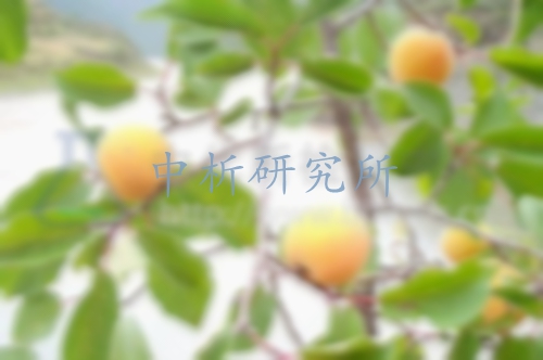 植物中游離氨基酸的測(cè)定