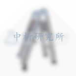 伸縮梯檢測報(bào)告