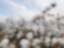 斷裂比強(qiáng)度