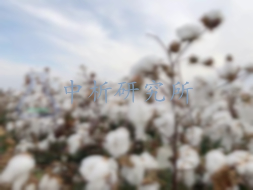 斷裂比強(qiáng)度