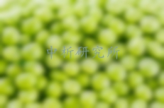 豌豆檢測(cè)