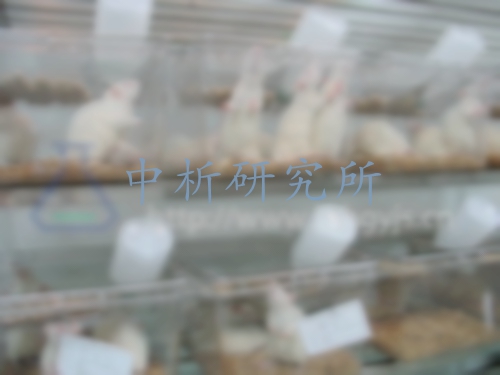 喂養(yǎng)試驗