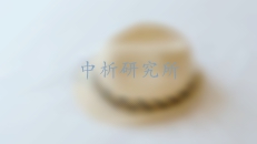 帽子檢測報告