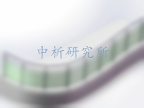 圍欄檢測報告