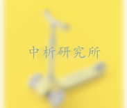 滑板車檢測報告