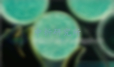 細(xì)菌回復(fù)突變試驗(yàn)