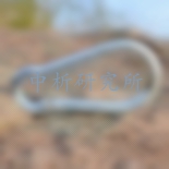 登山扣檢測(cè)