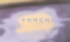 原子灰檢測