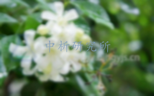 茉莉花檢測(cè)