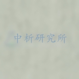 壁布檢測
