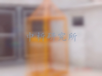 吊籠檢測