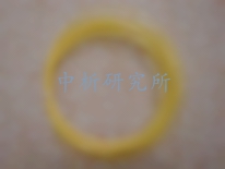 羊腸線檢測