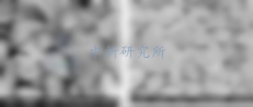 電極材料檢測(cè)