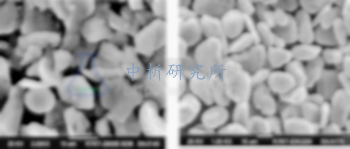 電極材料檢測(cè)