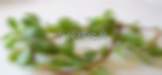 綠膿桿菌檢測(cè)