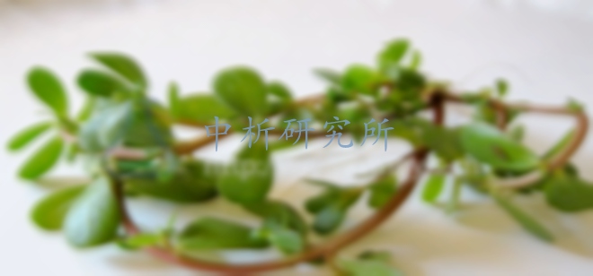 綠膿桿菌檢測(cè)