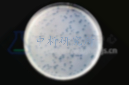 細菌內毒素試驗