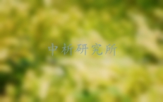 植株全氮測定