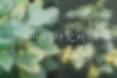 氮磷鉀測定